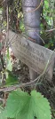 Захоронение ID 1279187