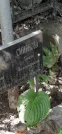 Захоронение ID 1279213
