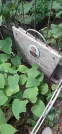 Захоронение ID 1279222