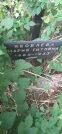 Захоронение ID 1279278