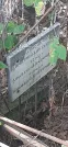 Захоронение ID 1279285