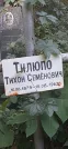 Захоронение ID 1279383