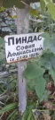 Захоронение ID 1279384