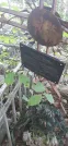 Захоронение ID 1279411