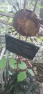 Захоронение ID 1279412