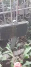 Захоронение ID 1279470