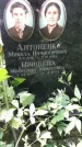 Захоронение ID 1279516