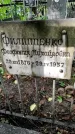 Захоронение ID 1279563