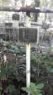 Захоронение ID 1279628
