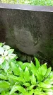 Захоронение ID 1279635