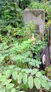 Захоронение ID 1279637