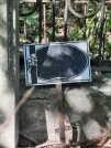 Захоронение ID 1270290