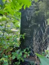Захоронение ID 1270616