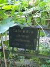 Захоронение ID 1270680