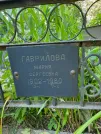 Захоронение ID 1270688