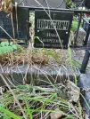 Захоронение ID 1270691