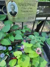 Захоронение ID 1270758