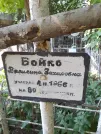 Захоронение ID 1264448