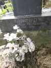 Захоронение ID 1264666