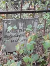 Захоронение ID 1264907