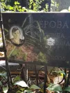 Захоронение ID 1265015