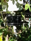 Захоронение ID 1265623