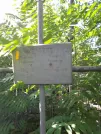 Захоронение ID 1266296