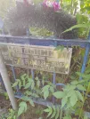 Захоронение ID 1266286