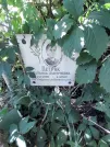 Захоронение ID 1267255