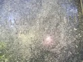 Захоронение ID 1262523