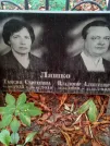 Захоронение ID 1267628