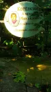 Захоронение ID 1270383