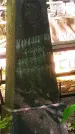 Захоронение ID 1270397