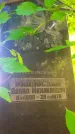 Захоронение ID 1270745