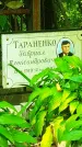 Захоронение ID 1270747