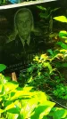 Захоронение ID 1270783