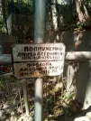 Захоронение ID 1272186
