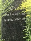 Захоронение ID 1259231