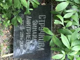 Захоронение ID 1259621
