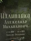 Захоронение ID 1261112