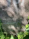 Захоронение ID 1262993