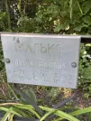 Захоронение ID 1261476