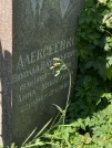 Захоронение ID 1263398