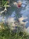Захоронение ID 1263406