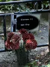 Захоронение ID 1263495