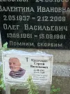 Захоронение ID 1263578