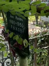 Захоронение ID 1263713