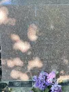 Захоронение ID 1264060