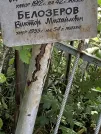 Захоронение ID 1264653