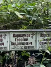 Захоронение ID 1264762